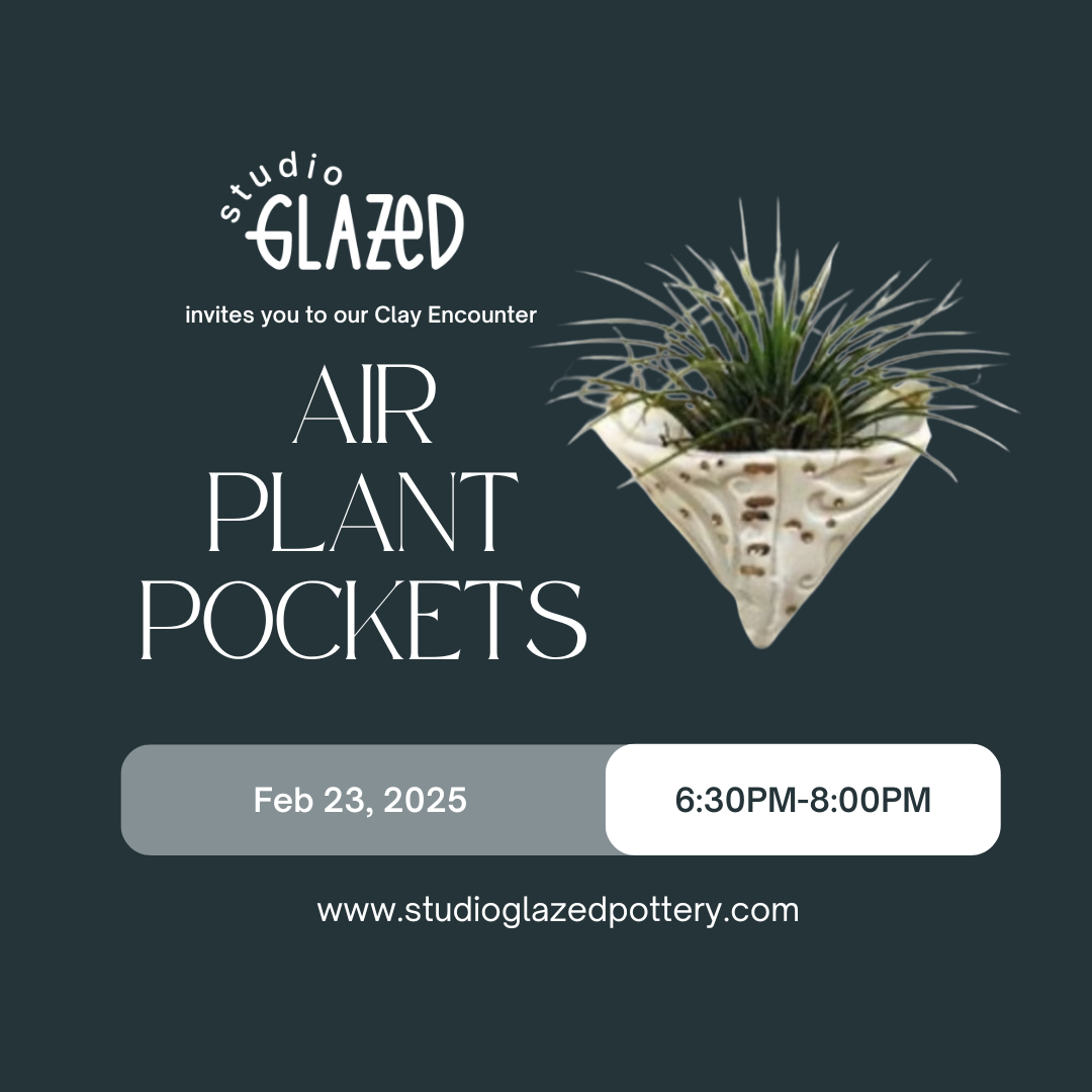 Air Plant Pockets