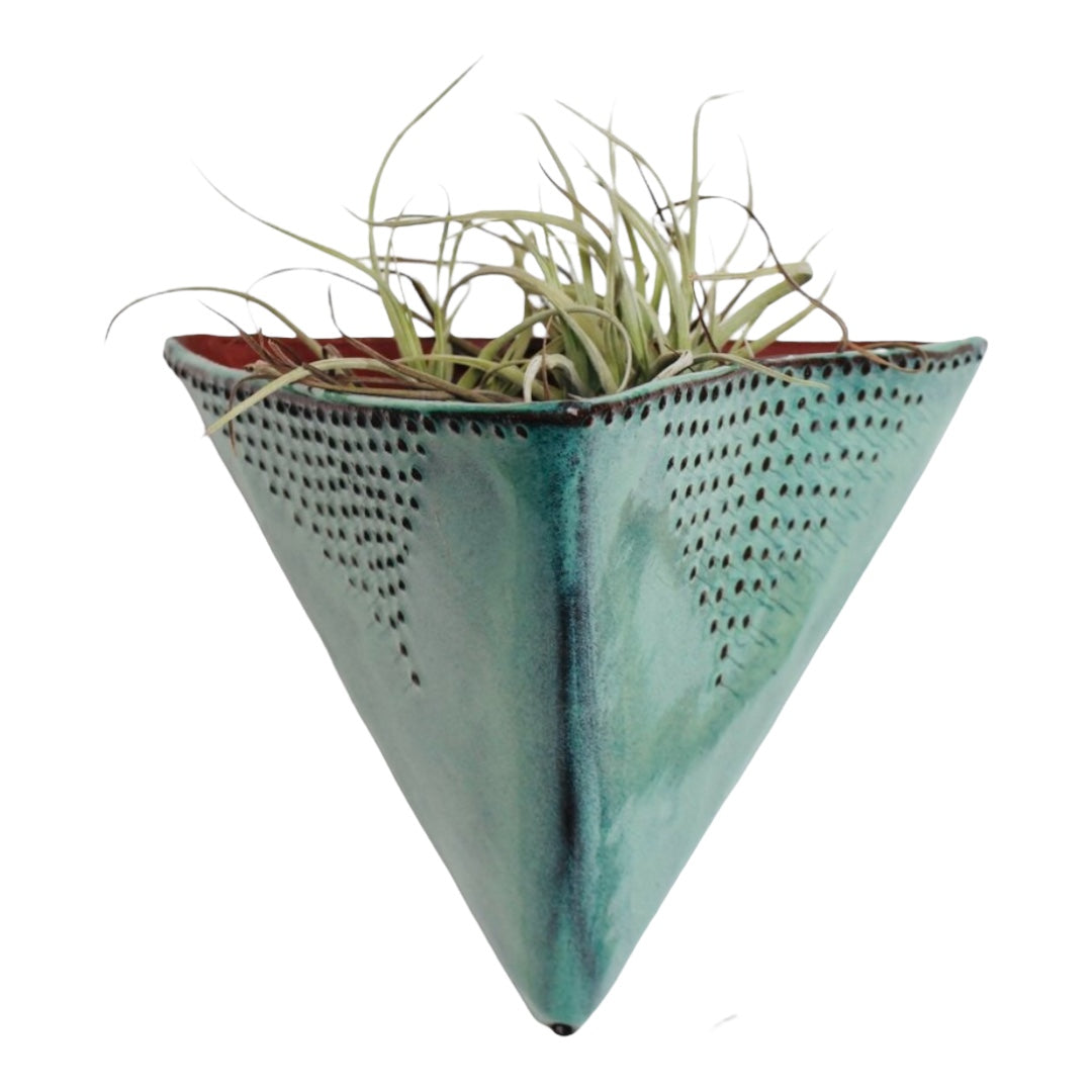 Air Plant Pockets